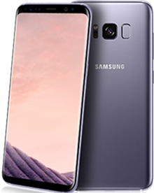 s8color3