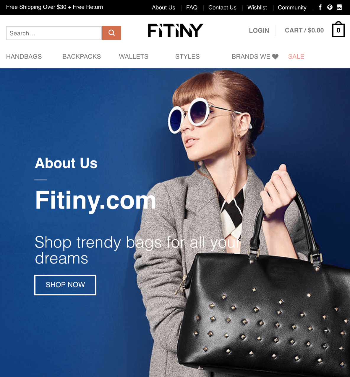 fitiny website